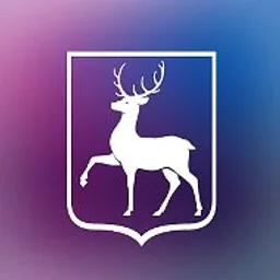 Правительство Нижегородской области