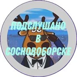 Подслушано в Сосновоборске