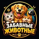 Забавные Животные😻