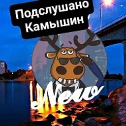 Подслушано Камышин