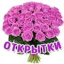 ОТКРЫТКИ