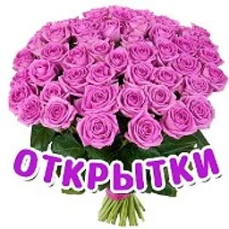 ОТКРЫТКИ