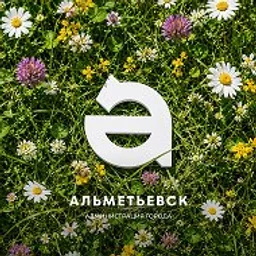 Администрация Альметьевска