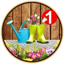 Дачная жизнь.