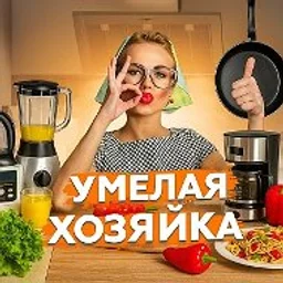 УМЕЛАЯ ХОЗЯЙКА