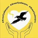 Грайворон