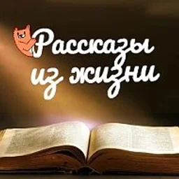 Рассказы из жизни