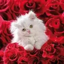 Красивые Открытки l Поздравления GIF Пожелания Видео ГИФ Картинки онлайн Приколы Анекдоты Смотреть Еда Рецепты Маникюр Ногти Клипы Знакомства Стикеры Кино Фильмы Сериалы Музыка 2026 Каналы в MAX