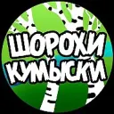 Шорохи Кумыски. Саратов