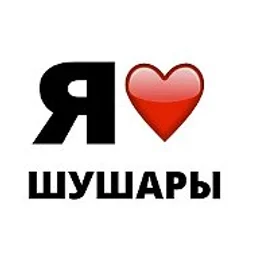 Шушары / Пушкинский район