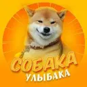 Собака-улыбака | Собаки Юмор Животные