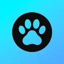 Собаки 🐾
