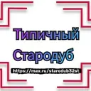 Типичный Стародуб