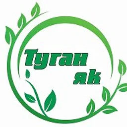 Туган як