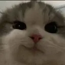 люблю