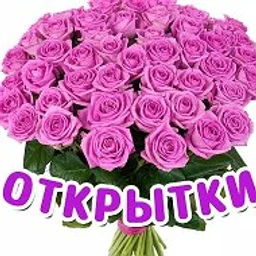 Поздравления и открытки