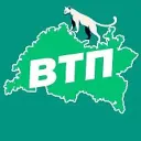 ВТП | В Татарстане Поймут