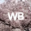 Wildberries 24/7