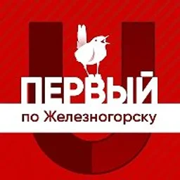 Первый по Железногорску
