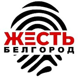Жесть Белгород