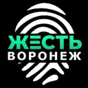 Жесть Воронеж