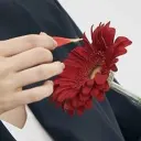 Жизнь.РУ